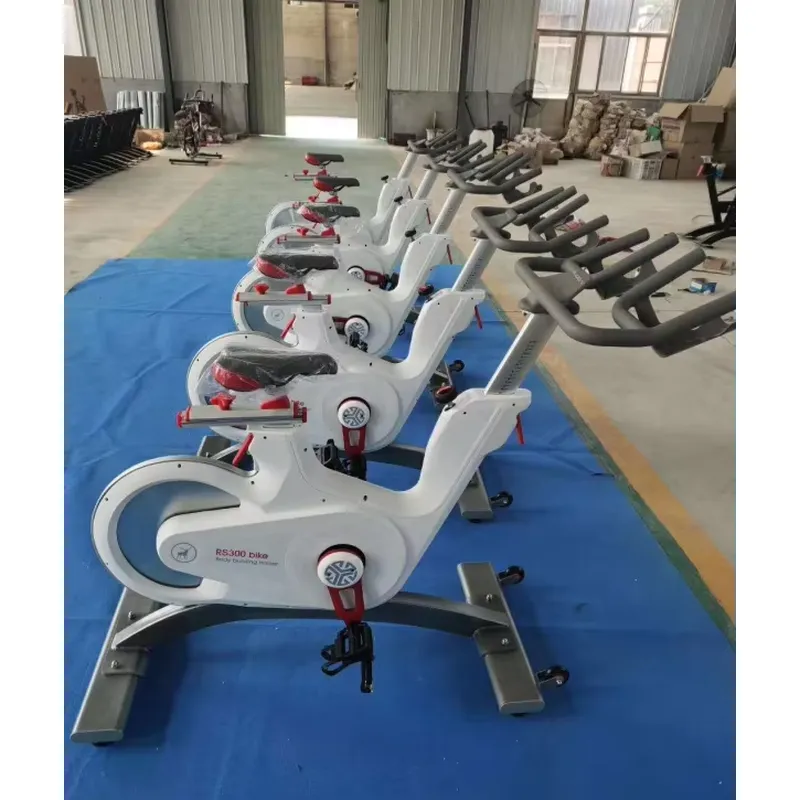 Sepeda Spinning Magnetik Profe - Home Gym Exercise ulasan dan harga