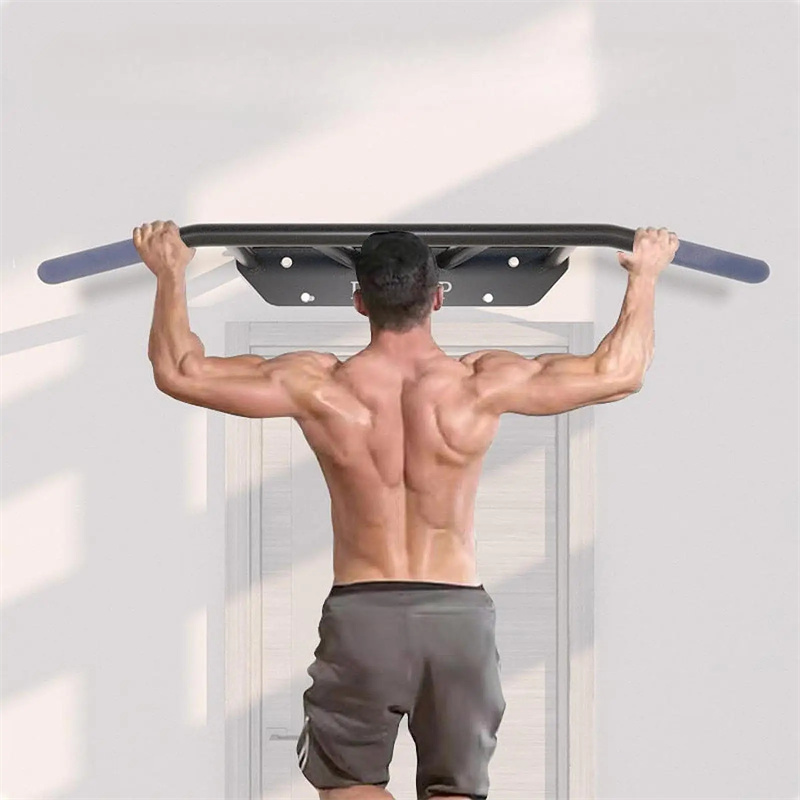 Palang Latihan Tarik di Pintu  - Home Gym Wall Mounted ulasan dan harga