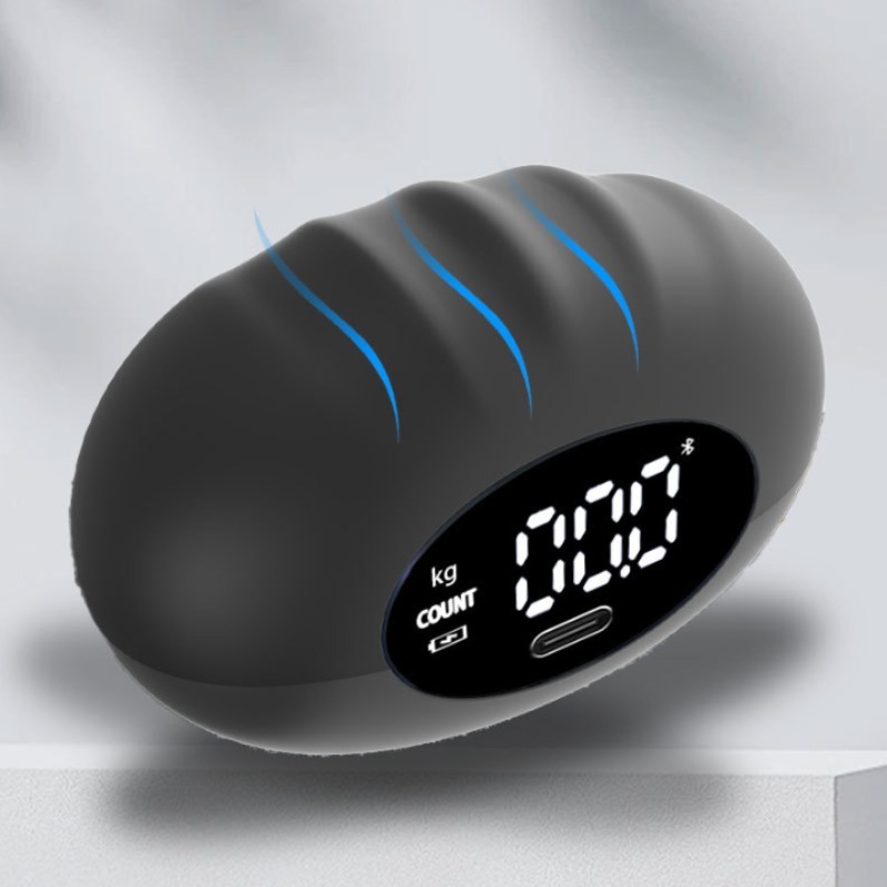 Dinamometer Tangan Digital Erg - Home Gym Academy ulasan dan harga